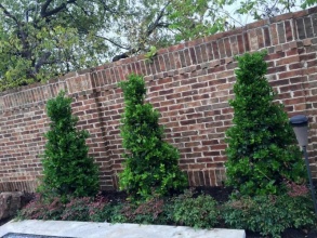 Кирпичный забор сплошной 12 метров фото в Кореновске